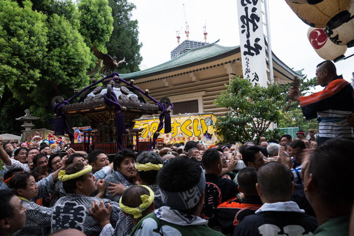 新宿諏訪神社「御神幸大祭」