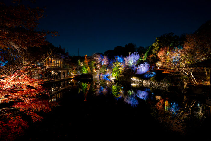 目白庭園ライトアップ
