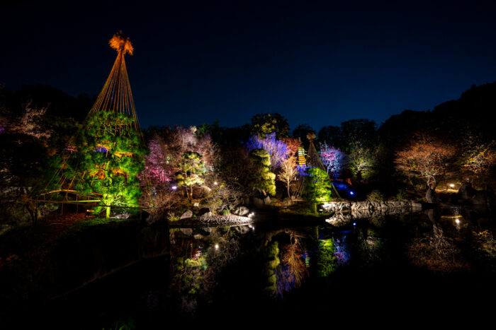 目白庭園ライトアップ