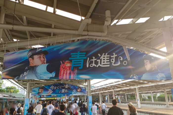 アオフェス2026